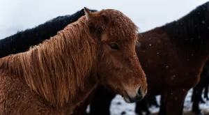 Düşük Bütçeyle Hem Yurt İçi Hem Yurt Dışı Seyahat Etmenin En Pratik Püf Noktaları