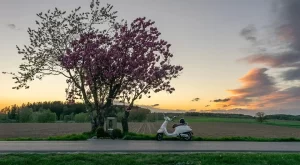 Türkiye’de Mutlaka Görülmesi Gereken ve Hâlâ Keşfedilmemiş Gizli Cennetler