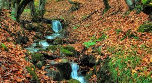 Eskipazar Gezilecek Yerler