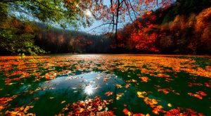 Yedigöller Milli Parkı Giriş Ücreti 2026 – Güncel Fiyatlar ve Ziyaret Rehberi