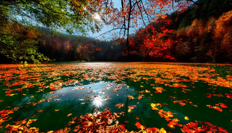 Yedigöller Milli Parkı Giriş Ücreti 2026 – Güncel Fiyatlar ve Ziyaret Rehberi