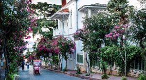 Büyükada Gezi Rehberi 2026 — Gezilecek Yerler, Plajlar, Bisiklet ve Ulaşım