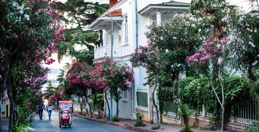 Büyükada Gezi Rehberi 2026 — Gezilecek Yerler, Plajlar, Bisiklet ve Ulaşım