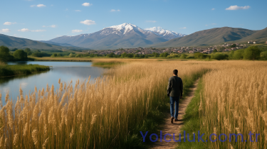 Yüksekova Nehil Sazlığı