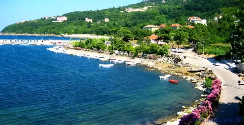 Kurucaşile Gezilecek Yerler | Bartın’ın Ahşap Tekne Kasabası