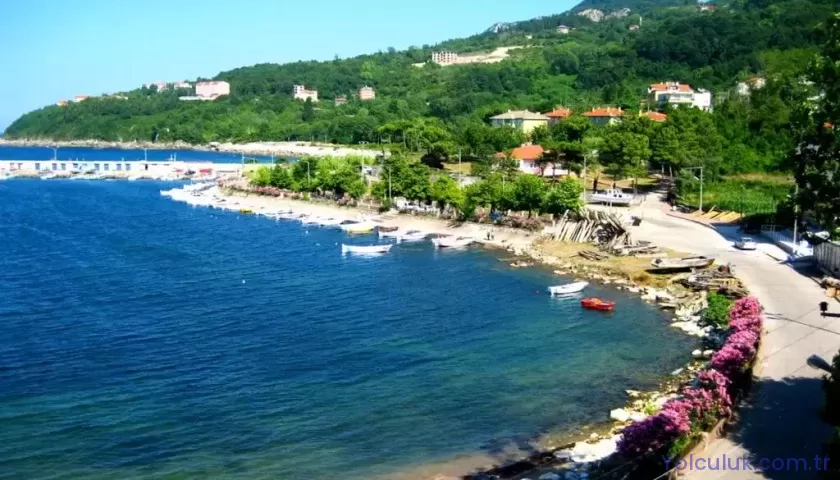 Kurucaşile Gezilecek Yerler | Bartın’ın Ahşap Tekne Kasabası